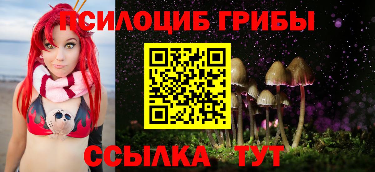 Галлюциногенные грибы Cubensis Белая Калитва