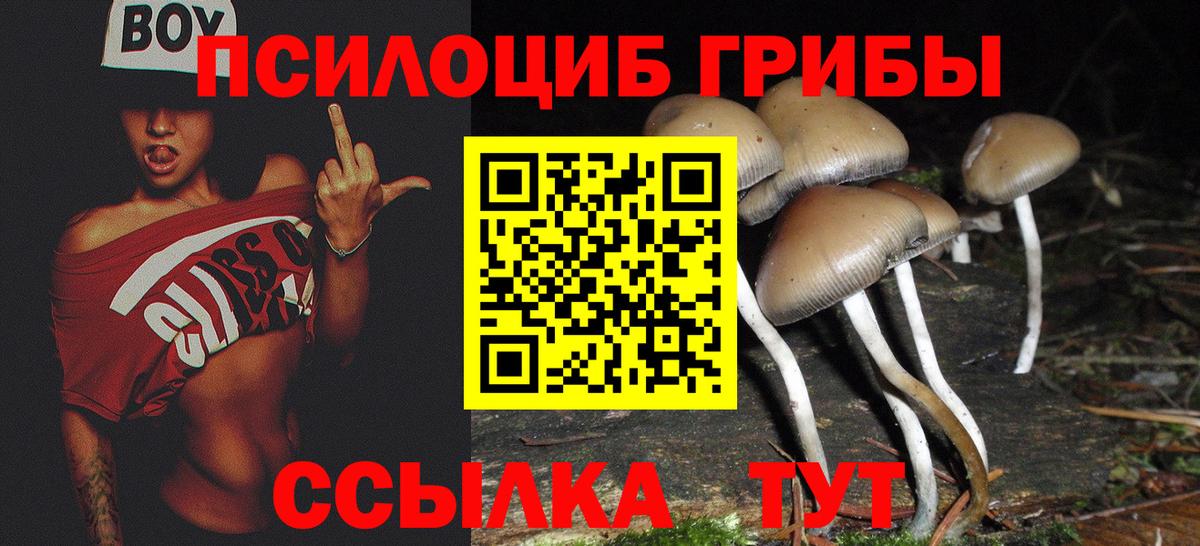 Галлюциногенные грибы Psilocybine cubensis  Галлюциногенные грибы Magic Shrooms  наркошоп  Вход с VPN  Белая Калитва 